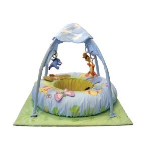 Image for Winnie the Pooh 100 Acre Play Gym*.
