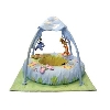 Winnie the Pooh 100 Acre Play Gym* image.