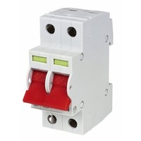 Image for Wylex 100A DP Incomer Main Switch Isolator.