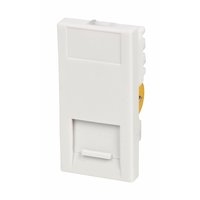 Image for Crabtree BT Master Module.