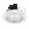 Robus HID Downlight Satin 150W image.