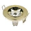 Fixed Cast Downlight IP44 Polished Brass image.