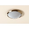 Bronze Circular Ceiling Light image.