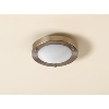 Portal Fixed Ceiling Light Bathroom Light Fitting image.