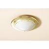 Brass Circular Ceiling Light image.