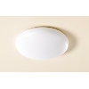 Belinda Ceiling Light Bathroom Light Fitting image.