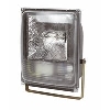 Trac Bulldog Metal Halide 70W Symmetric Commercial Floodlight image.