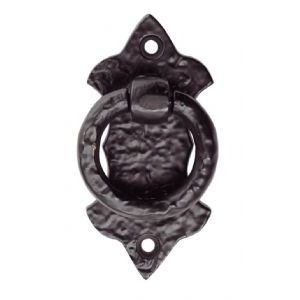 Image for Ring Pull on Shield Pattern Backplate.