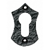 Shield Escutcheon - Euro Profile image.